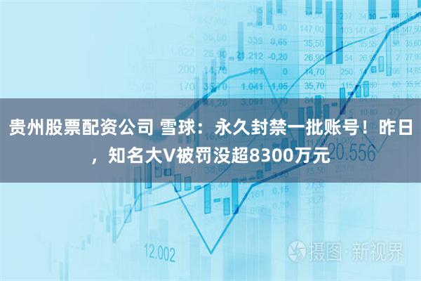 贵州股票配资公司 雪球：永久封禁一批账号！昨日，知名大V被罚没超8300万元